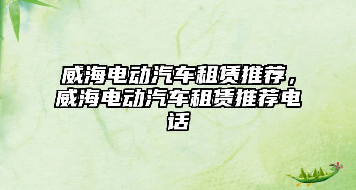 威海電動汽車租賃推薦，威海電動汽車租賃推薦電話